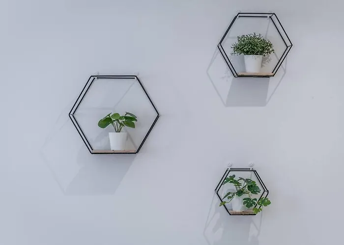 Sotto Le Due Torri 5* شقة *